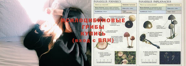 мяу мяу мука Ханты-Мансийск