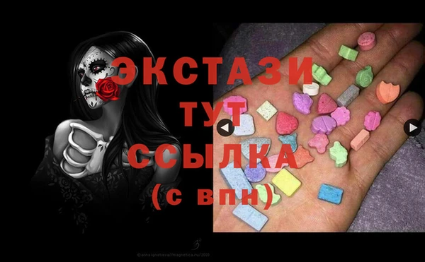 ECSTASY Чекалин