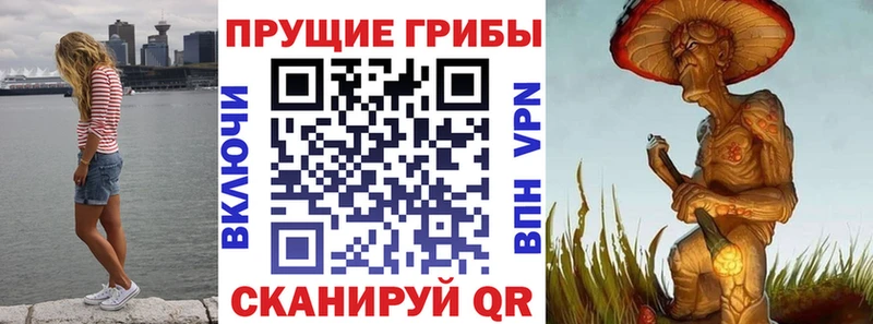 Псилоцибиновые грибы GOLDEN TEACHER blacksprut как войти Алатырь