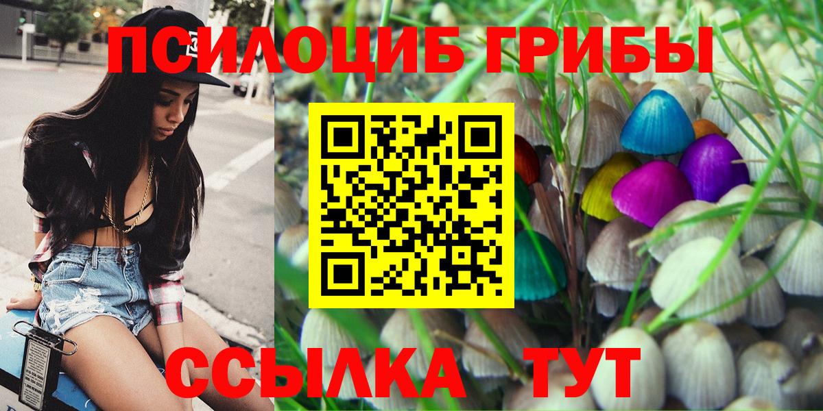 Псилоцибиновые грибы прущие грибы  Алатырь 