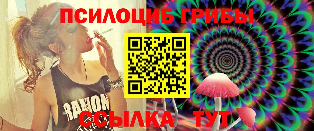 Галлюциногенные грибы Magic Shrooms Алатырь