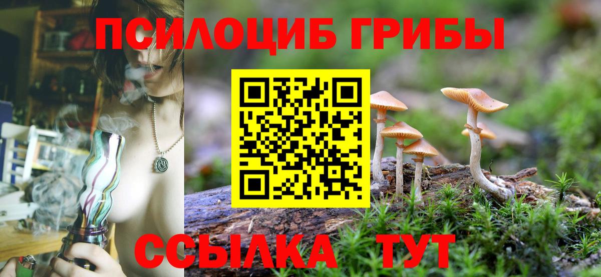 Галлюциногенные грибы мицелий  Вход с VPN  Алатырь 